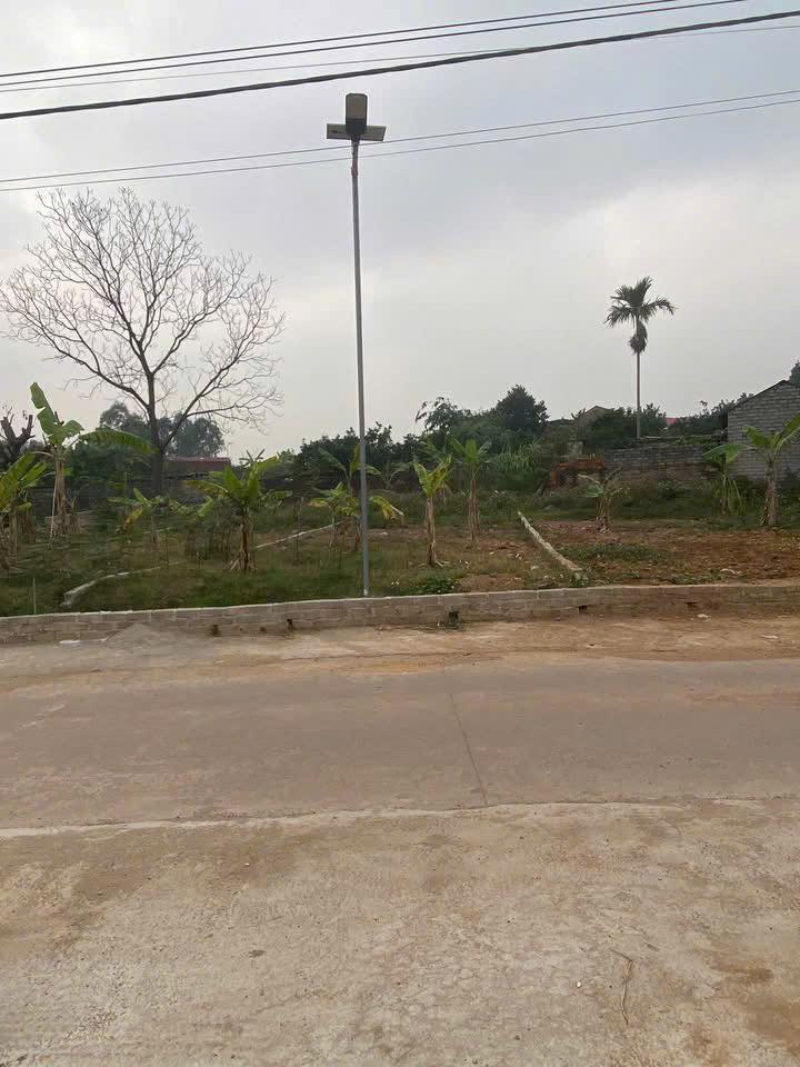 Nhà Mặt Tiền Lan Mẫu, Bắc Giang 138m² - Kinh Doanh Đắc Lợi, Giá Chỉ 9xx Triệu