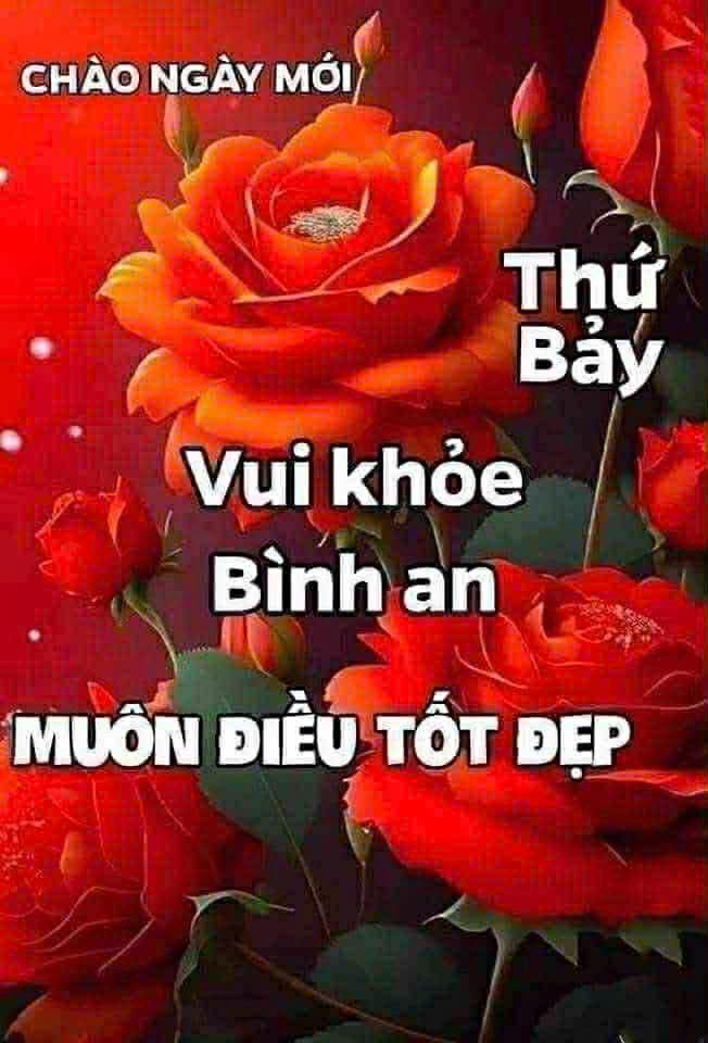 Nhà 4PN Hồng Bàng Q6 - 48m² - Sân thượng - Giá 5.5 tỷ