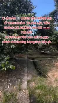 Bán 5000m² Đất Vườn Sầu Ri6 9 Năm Tuổi - Đồng Tháp