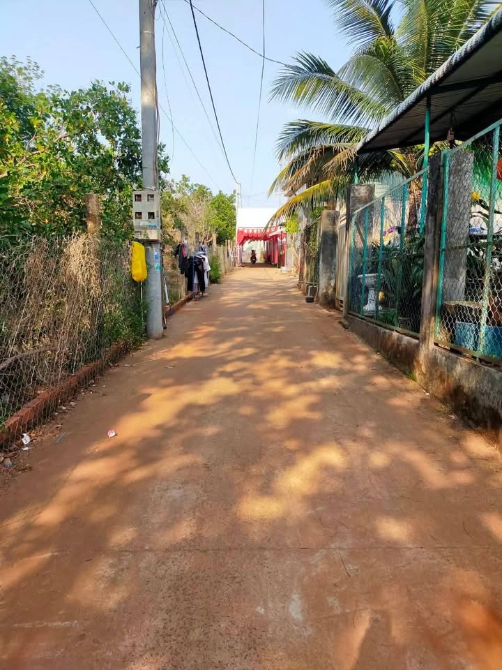 Đất nền Phước Bình Phước Long 260m² giá 1.1 tỷ - Sổ hồng sẵn!