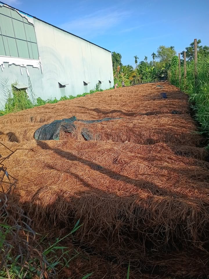 Đất nền QL80 Lai Vung 610m² - Hạ tầng hoàn thiện, vị trí đẹp!