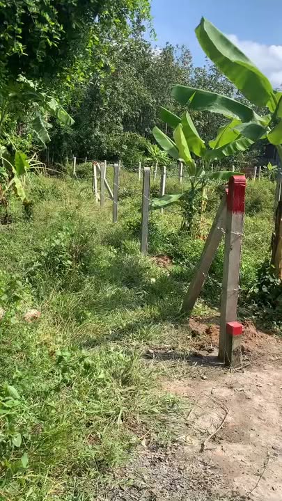 Đất nền Cẩm An, Gò Dầu 216m² - Tiềm năng tăng giá đón đầu!