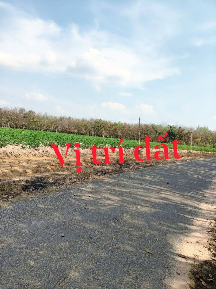Đất nền Phước Vinh Tây Ninh 3600m² chỉ 200 triệu, Sổ hồng sẵn