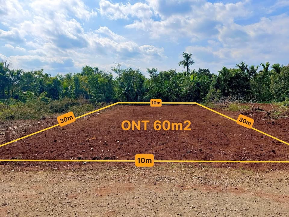 Đất nền Phường 6 Quận 8, 300m² chỉ 1.55 tỷ - Sổ đỏ chính chủ!