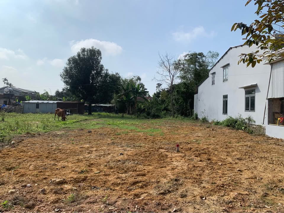 Bán đất nền Điện Thắng Nam 138m² - Gần dự án Thu Bồn, giá 1.5 tỷ