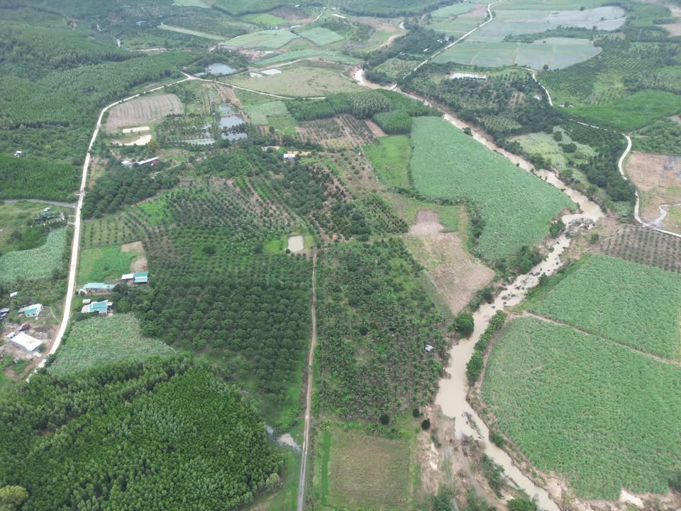 Đất nền Ninh Hòa 2.1ha - Đường ô tô vào tận nơi, tiềm năng lớn!