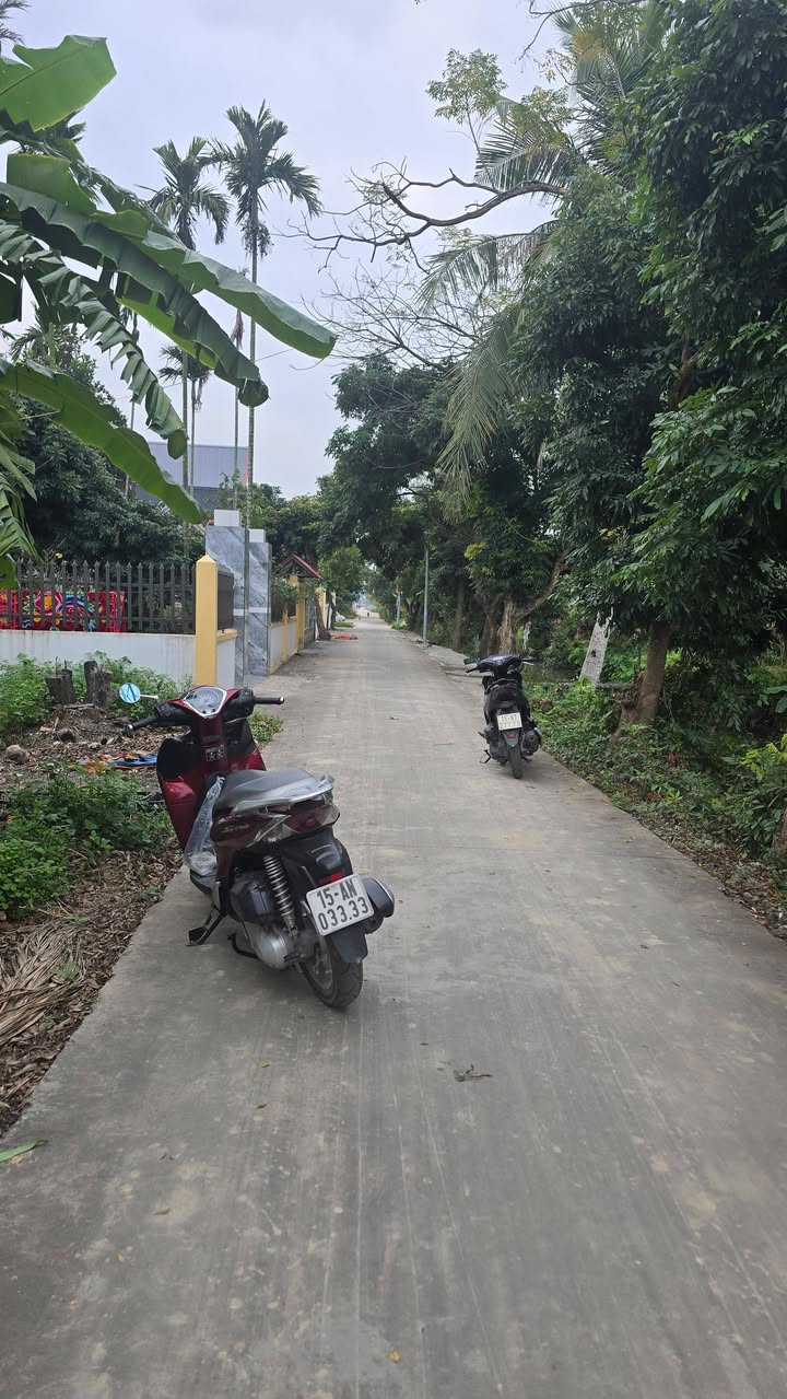 Bán Đất Đồng Xuân, Hải Phòng - 65m² Sẵn Sổ, Giá 9xx Triệu