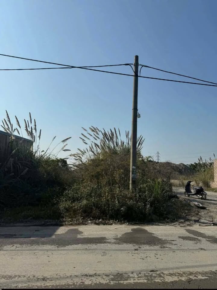 Đất nền Thủy Nguyên 150m² giá 2.9 tỷ - Tiềm năng tăng giá vượt trội!