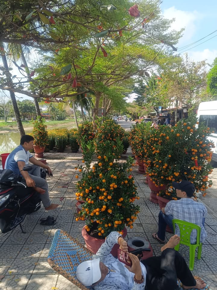 Nhà Riêng Cẩm An, Hội An 200m² - Vị trí đẹp, View sông trực diện!