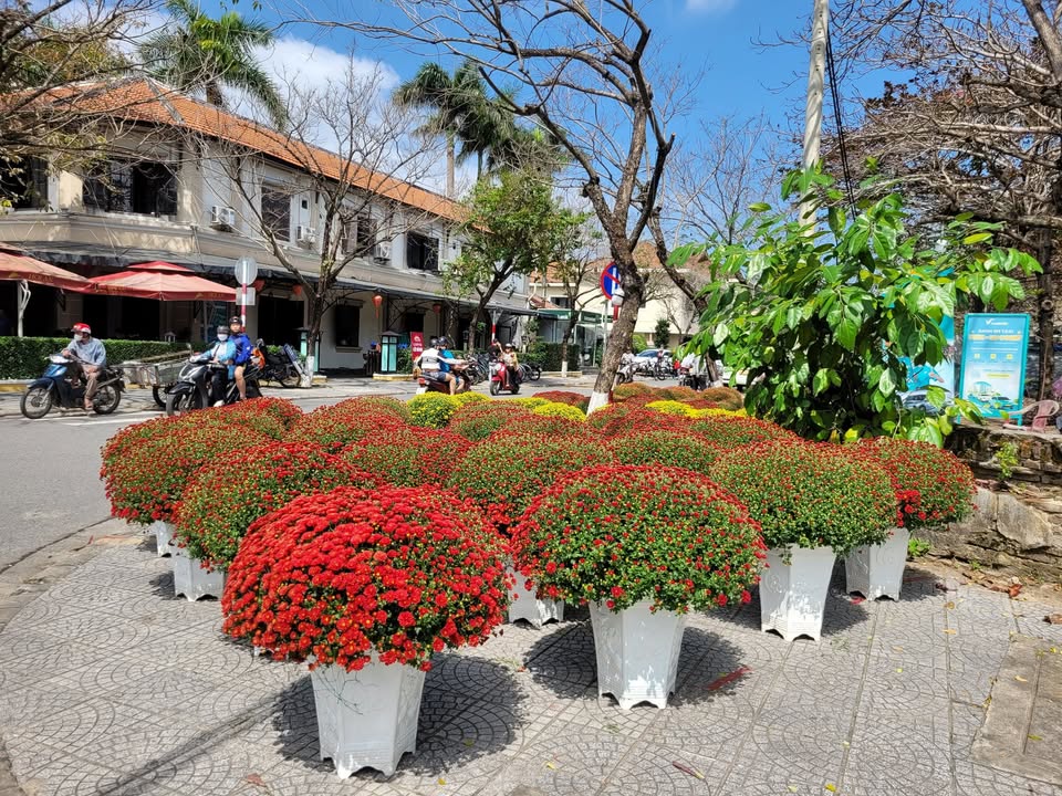 Đất Nền Cẩm Thanh Hội An 140m² - View Đồng Lúa Thanh Bình