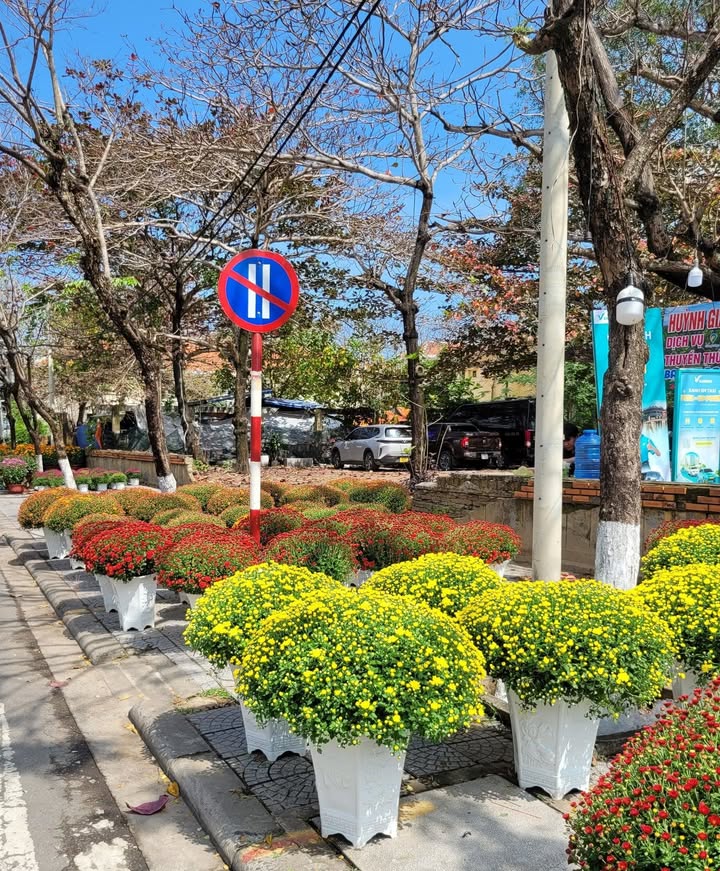 Đất Nền Thanh Hà Hội An 81m² Hướng Đông Nam - Sổ Đỏ Sẵn Sàng