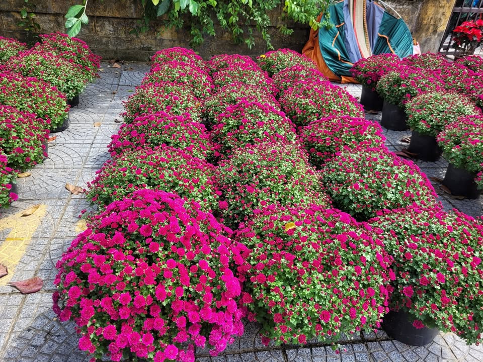 Bán nhà 2 tầng Thanh Hà Hội An 128m² - Sẵn sàng ở ngay!