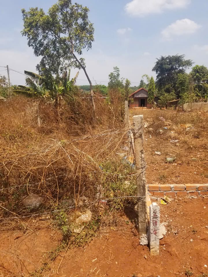 Đất nền Cư M'gar Đắk Lắk 155m² giá 403 triệu - Sổ đỏ chính chủ!