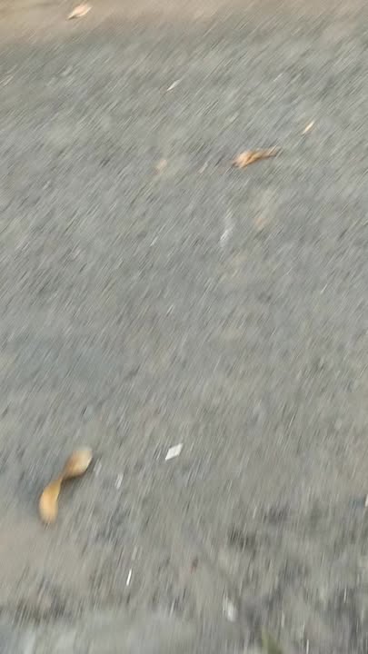 Nhà riêng Phường Cao Lãnh 70m² - Chính chủ bán, giá 1.3 tỷ