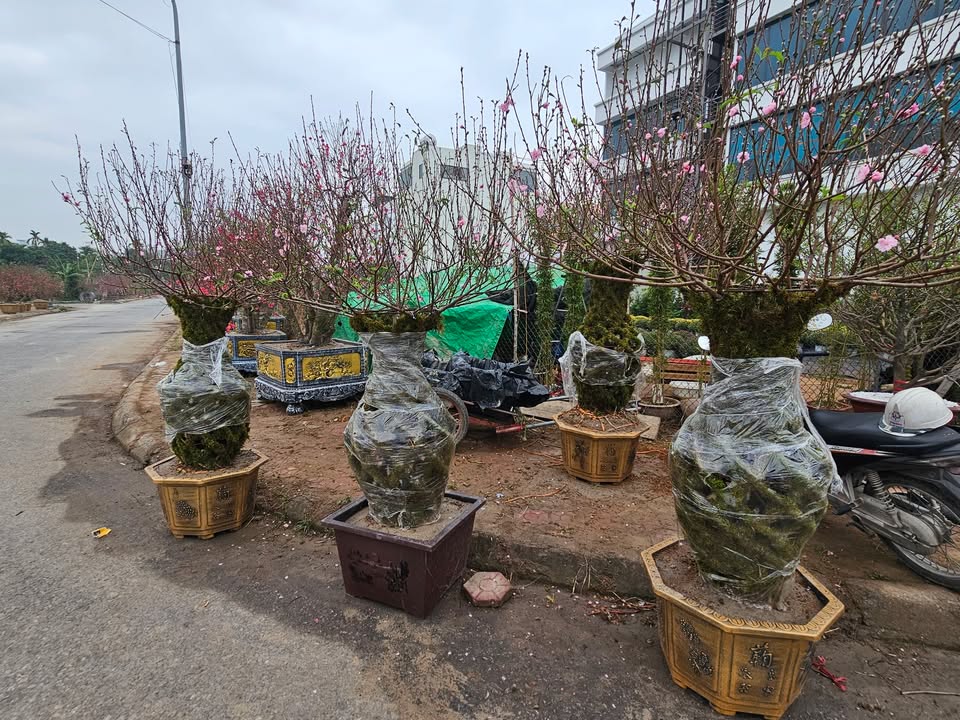 Bán đất Phúc Tân Gia Lộc từ 77m² giá 1.19 tỷ - Sổ đỏ chính chủ