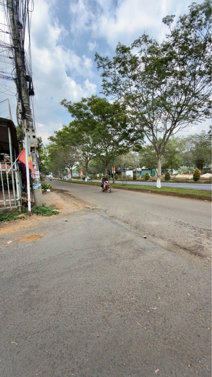 Đất Gia Nghĩa 240m² - Mặt Tiền Trục Chính, Kinh Doanh Vô Tư!