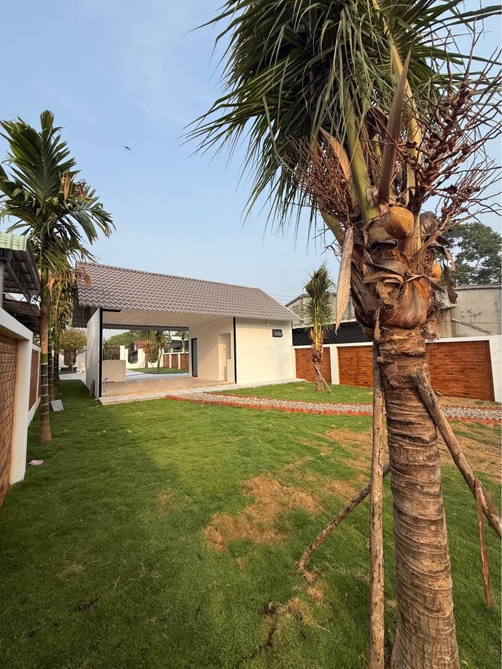 Đất Vườn Nghỉ Dưỡng Tây Ninh 320m² - Sổ Sẵn Sẵn Sàng Giao Dịch