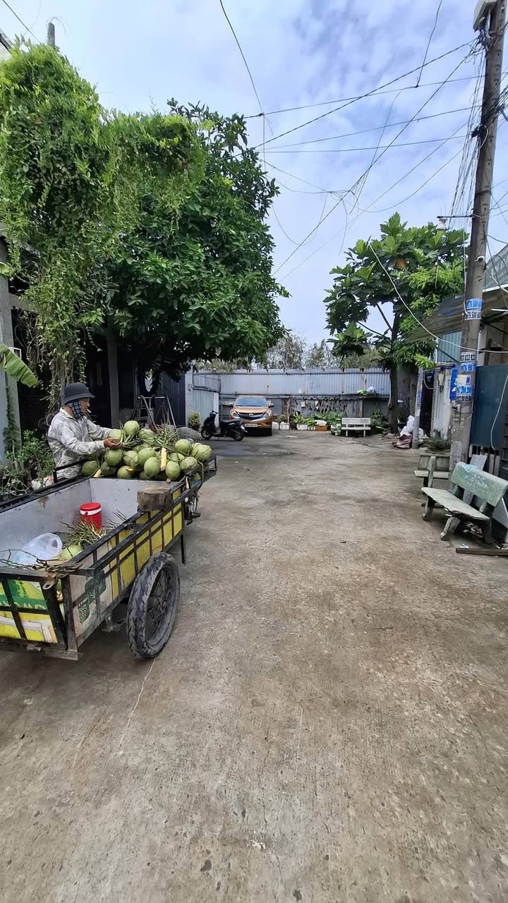 Nhà Riêng Hóc Môn 120m² - Sẵn Sàng Ở Ngay!