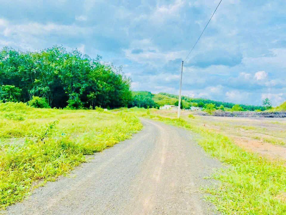 Đất nền Đồng Tâm, Đồng Phú, Bình Phước – Sổ đỏ chính chủ, giá từ 2xx triệu