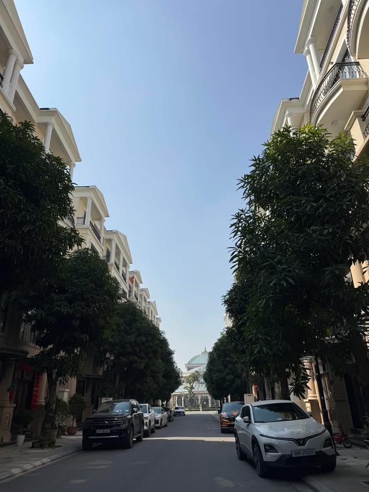 Nhà Đảo Dừa Vinhomes Ocean Park 64m² - Sổ Đỏ Sẵn Sàng