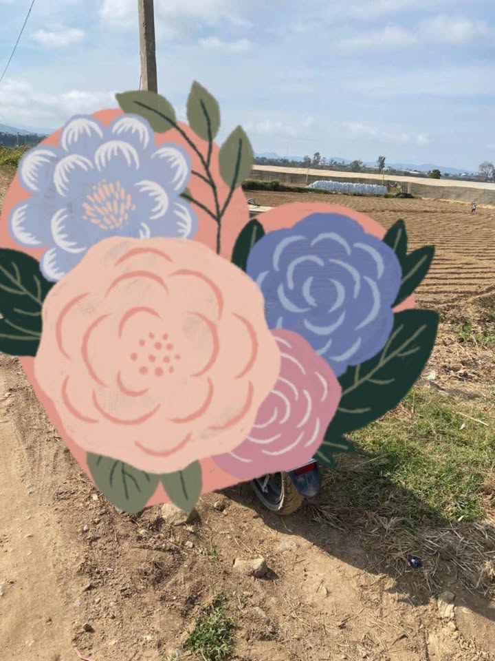 Đất Sào 14400m² Giá 1.65 Tỷ Tại Đơn Dương - Sẵn Điện Nước, Gần Dân Cư