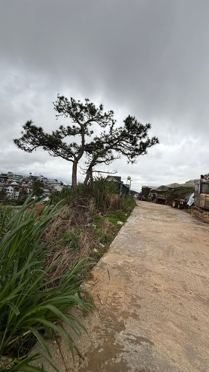 Đất nền Đà Lạt 150m² - 2 mặt tiền Phường 11, Sổ hồng riêng