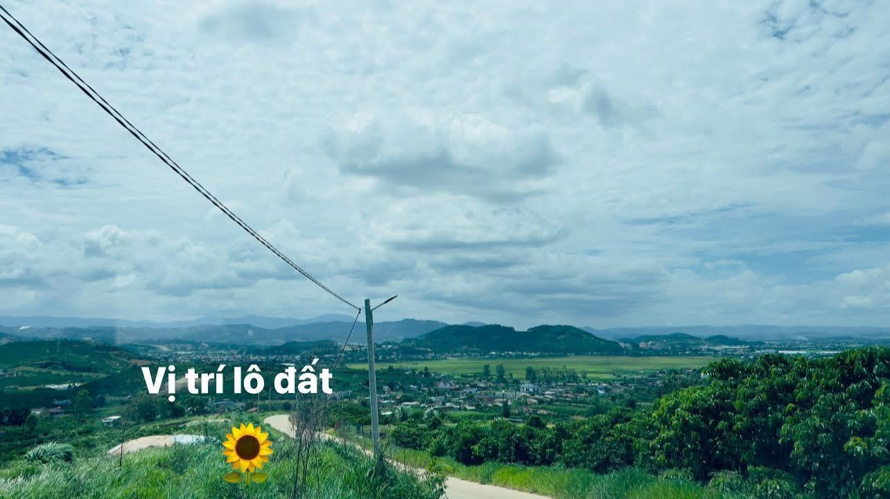 Đất nền Tân Văn Lâm Hà 240m² giá 400 triệu - Sổ hồng sẵn tay!