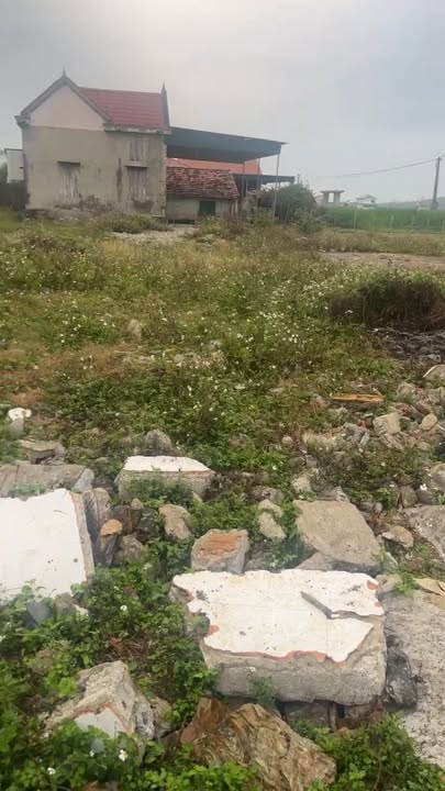 Đất nền Quỳnh Lâm, Quỳnh Lưu 196m² - Tiềm năng tăng giá vượt trội!