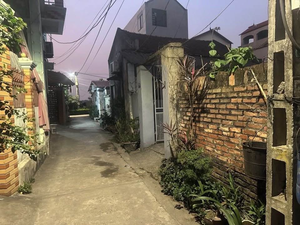 Đất nền Kim Sơn Gia Lâm 74m² - Ô tô đỗ cửa, sổ đỏ sẵn sàng!