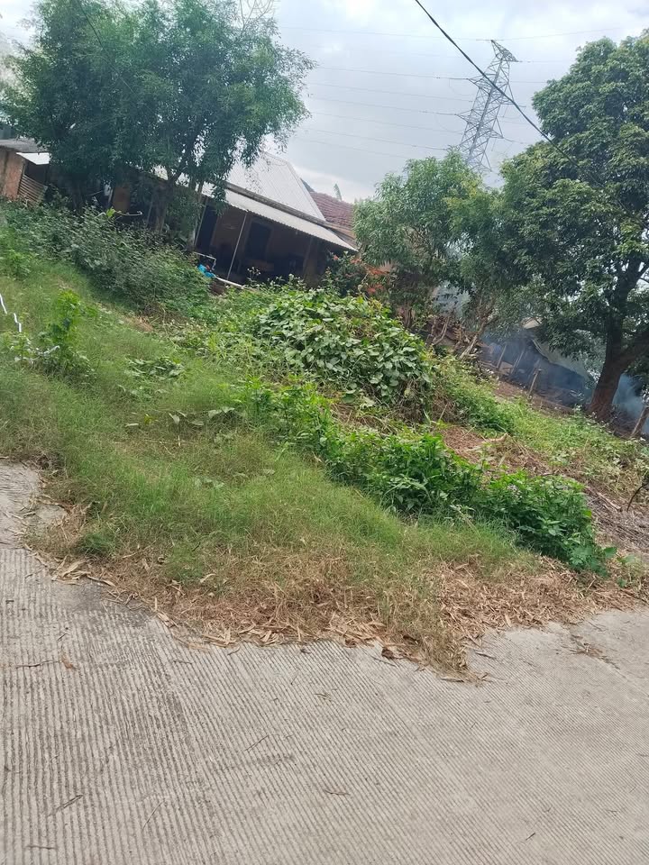 Đất Nền 160m² Phường Chánh Lộ, Quảng Ngãi - Sổ Đỏ, Giá 6xx Triệu