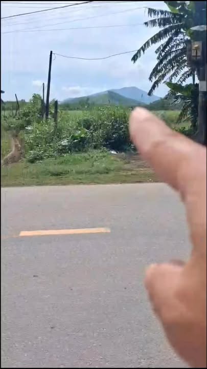 Đất Nền Mặt Tiền Tỉnh Lộ 624 Nghĩa Hành - 1300m² Giá 400 Triệu