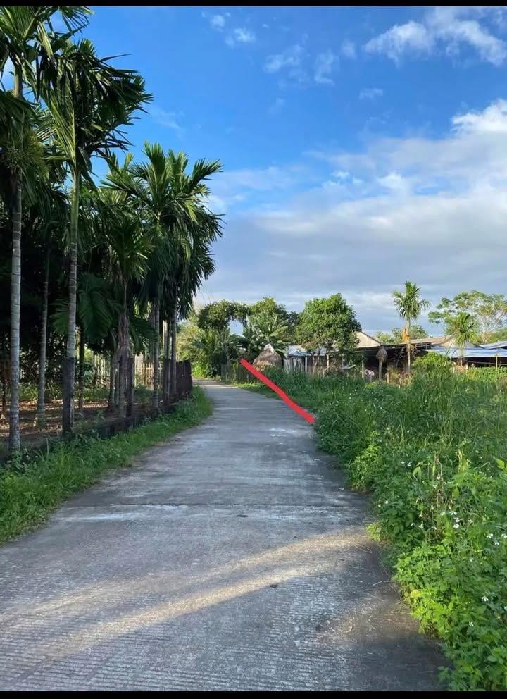 Đất nền Thị trấn Chợ Chùa 500m² - Sổ đỏ chính chủ