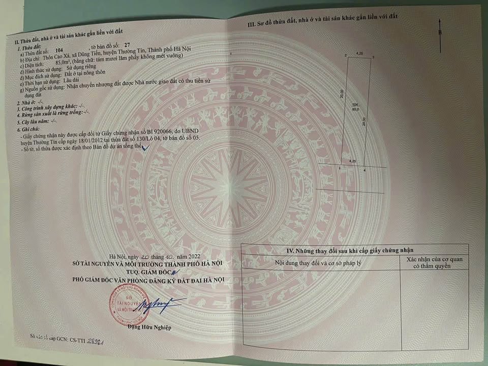 Đất lô góc Cao Xá Uy Nỗ 85m² - Vị trí vàng kinh doanh đắc địa