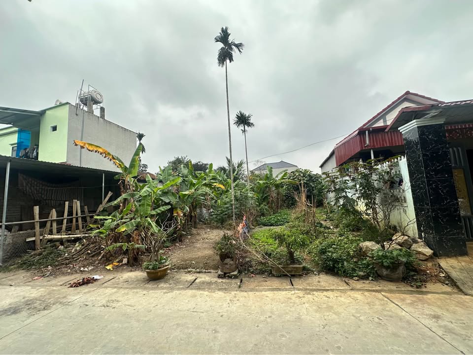 Đất nền Xuân Lập, Thọ Xuân 300m² - Sổ đỏ chính chủ, tách 3 bìa