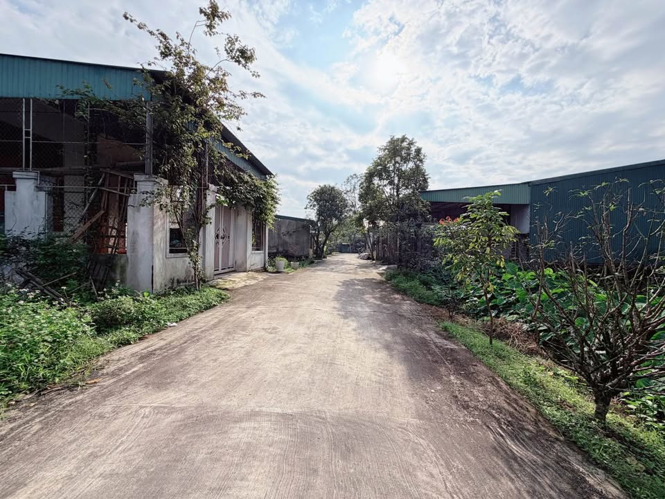 Đất nền Hà Huy Tập 116m² giá 2.7 tỷ - Pháp lý rõ ràng, xây dựng tự do!