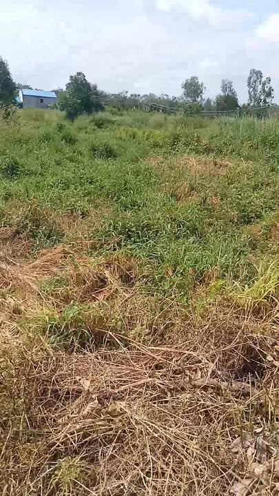 Đất nền Hàm Minh, Hàm Thuận Nam 2660m² - Sổ đỏ chính chủ!