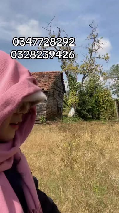 Bán gấp 2ha đất farm Ea H'leo, Đắk Lắk - Giá 1.4 tỷ, có suối, sổ sẵn sàng làm bìa