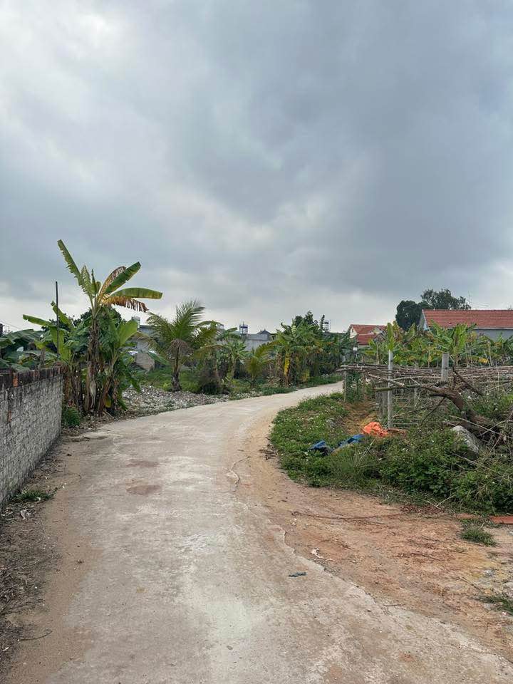 Đất thổ cư Quảng Yên 114m² - Sổ hồng sẵn, gần VinHomes Hạ Long Xanh