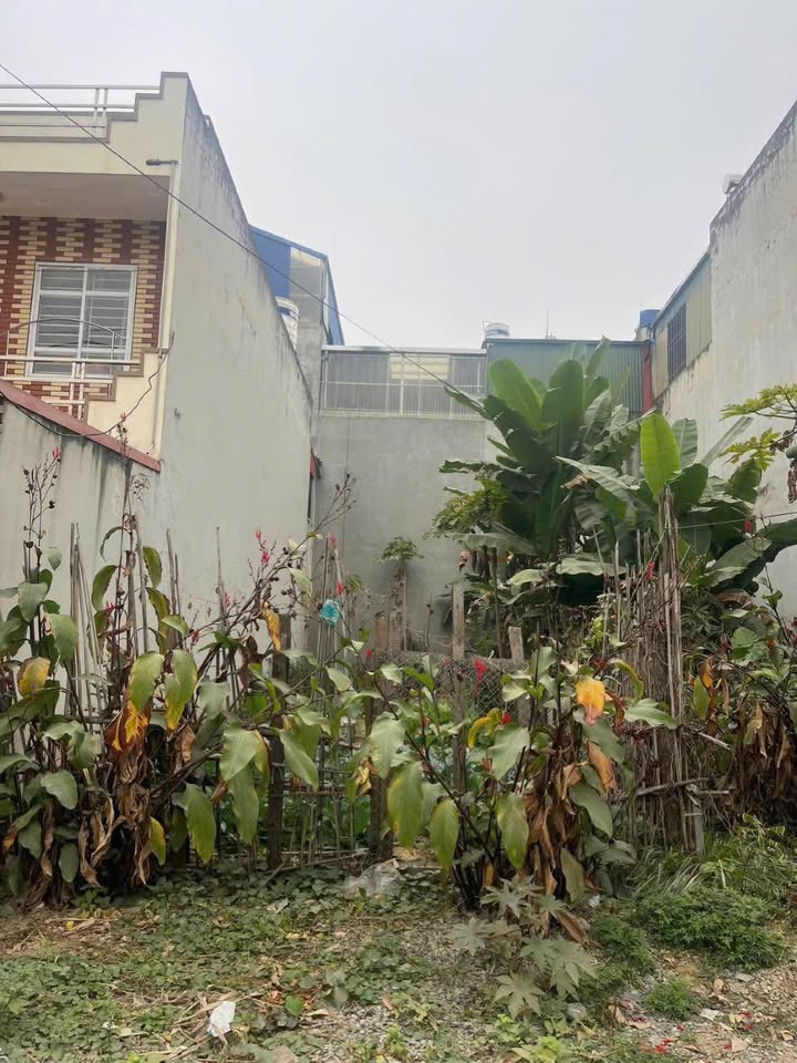 Bán đất trục chính Việt Phượng, Quang Trung 90m² - Vị trí kinh doanh đắc địa