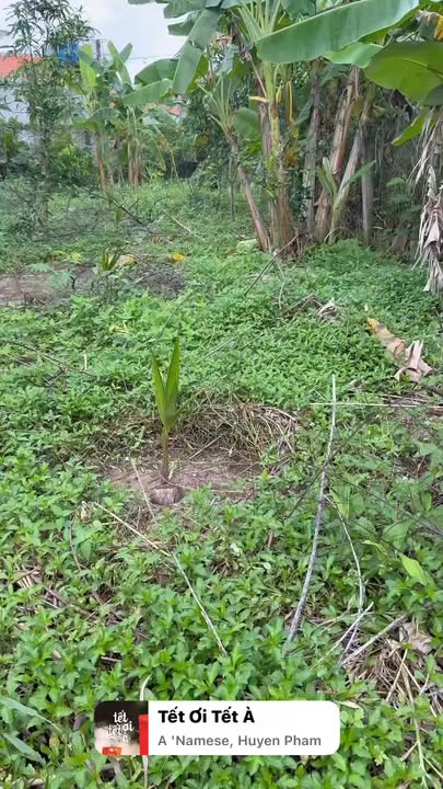 Đất nền Ấp Miễu Hội, Châu Thành 281m² - Sổ đỏ chính chủ, đường ô tô