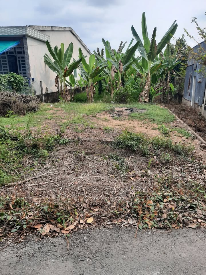 Đất nền Cai Lậy 300m² giá 1.25 tỷ - Sổ đỏ sẵn, view sông thoáng