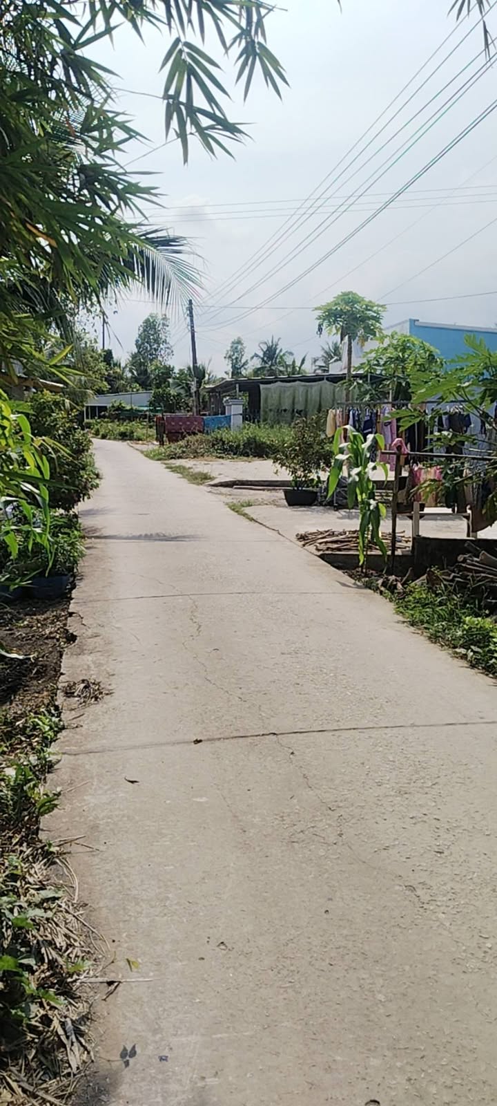 Đất nền Châu Thành 432m² giá 500 triệu - Sổ đỏ chính chủ!