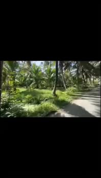 Bán Gấp Đất Vườn Tiền Giang 8528m² - Giá 440 Triệu, Sổ Hồng