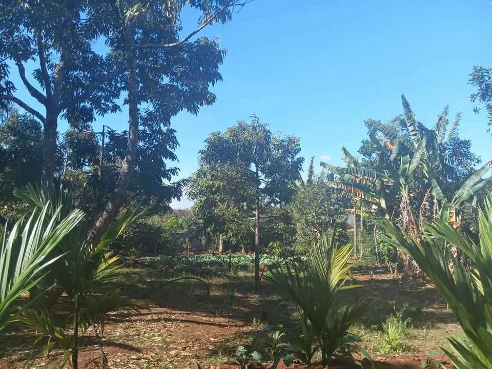 Đất nền nhà vườn Buôn Ma Thuột 600m² - Sổ đỏ chính chủ, gần sân bay