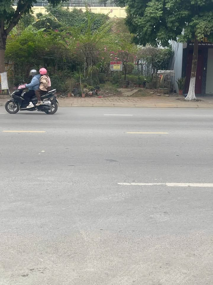 Đất Đường Hoàng Liên Lào Cai 200m² Sổ Đỏ Sẵn - Kinh Doanh Vàng