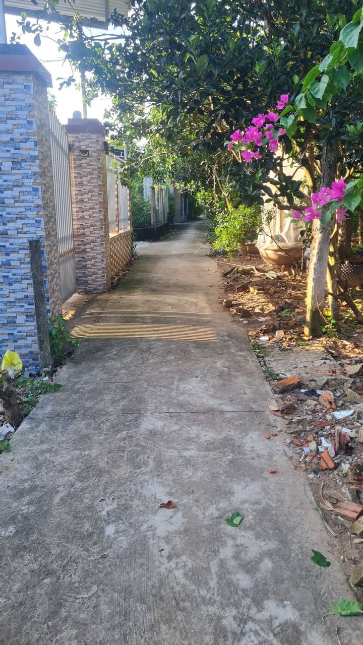 Đất nền Phú Hưng Bến Tre 132.8m² - Giá đầu tư tốt, sổ hồng sẵn