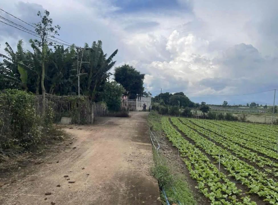 Bán Đất Nền Rộng 4837m² Đức Trọng, Lâm Đồng - Sổ Đỏ Riêng Từng Nửa