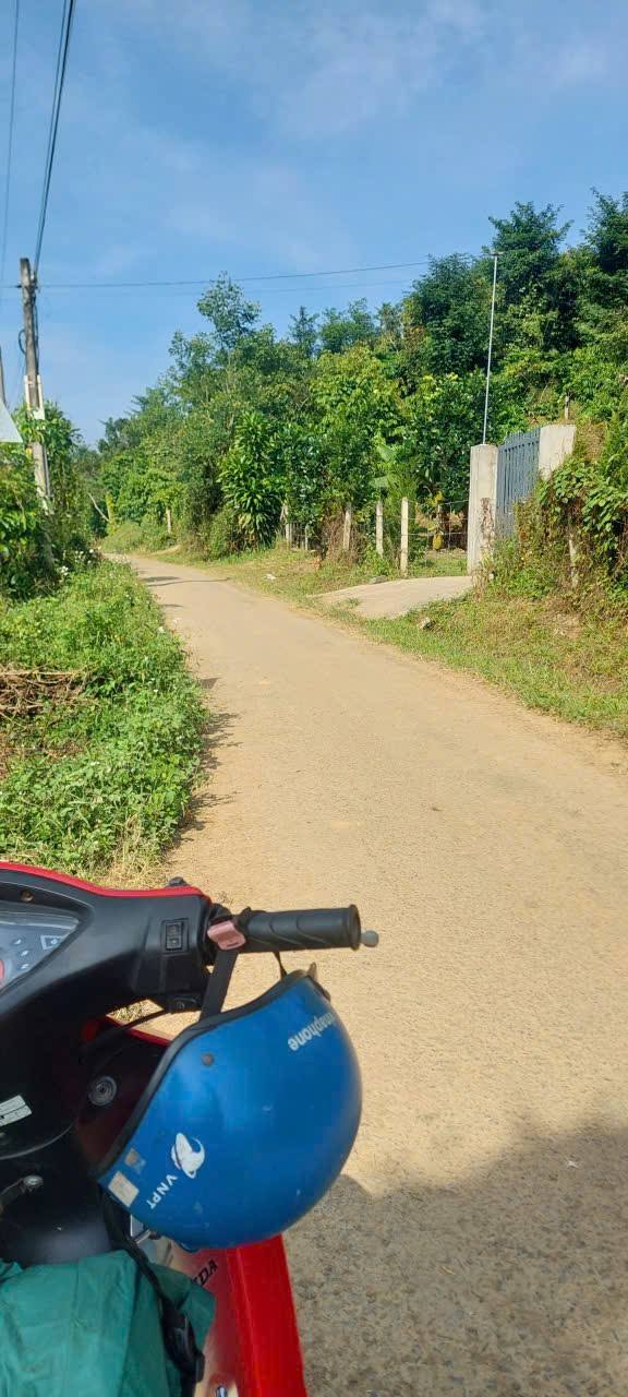 Đất vườn 3.1ha Tân Lạc, Bảo Lâm - Sinh thái xanh, ôm suối, có thổ cư!