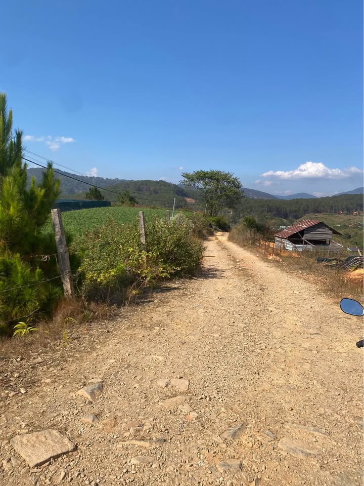 Đất nền Đạ Sar, Lạc Dương 5000m² giá 2.4 tỷ - Sổ đỏ chính chủ!