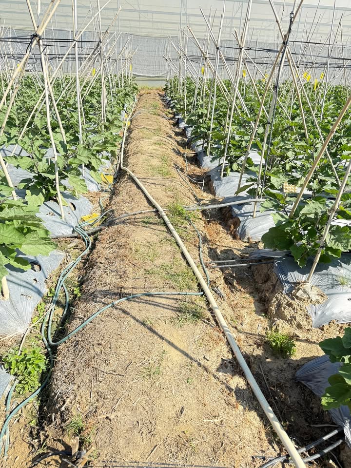 Đất vườn Ka Đơn 4.500m² giá 2.2 tỷ - Nghỉ dưỡng lý tưởng